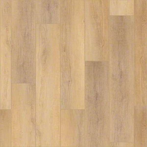 COREtec Pro Plus HD 9 Inch Plank Canterbury Elm